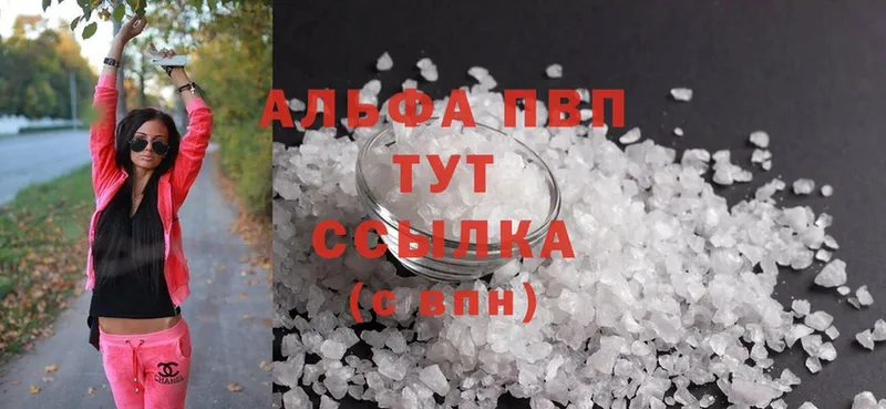 Alfa_PVP СК  Нестеров 